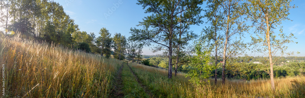 Summer landscape with rural road  and trees during sunny morning