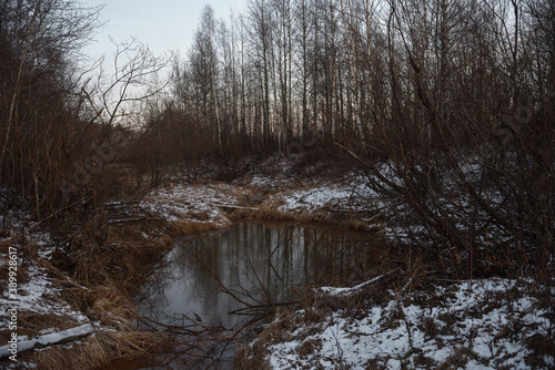 Lake by the late autumn