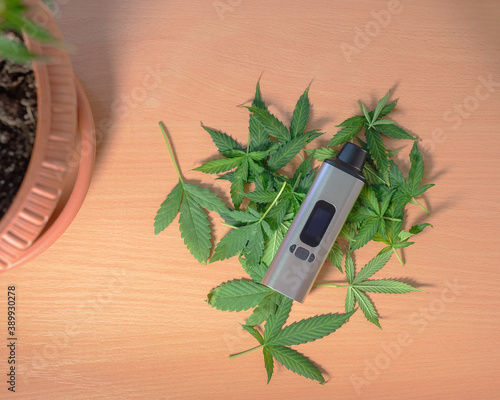 Cuadro en lienzo portable electronic vaporizer for smoking dry herbs next to hemp leaves on the t
