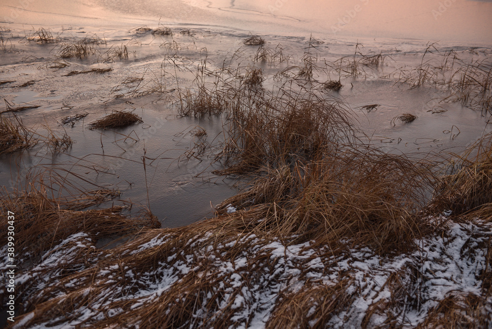 On the shore of the lake