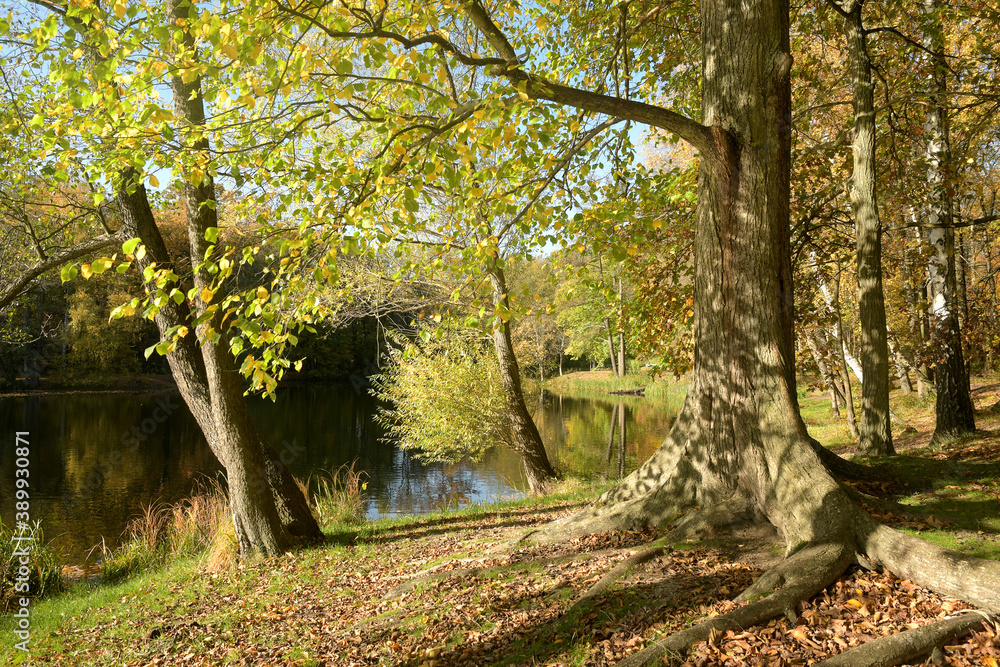 Obraz premium uferlandschaft