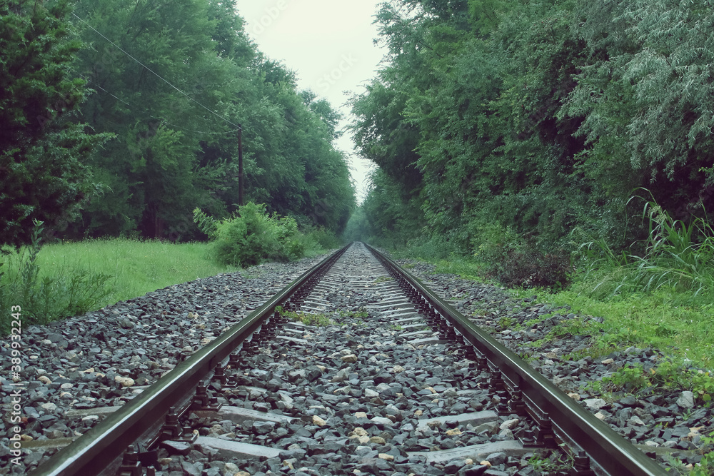 Fototapeta premium Primer plano de una vía del tren en un día de lluvias. Una vieja vía del tren que discurre entre vegetación y que se dirige recta al horizonte en un oscuro día de lluvia junto a Olimp en Rumanía.