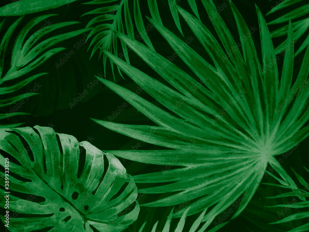 Fototapeta premium Beautiful abstract color black and green flowers on black background and dark graphic white flower frame and green leaves texture, green background, colorful graphics banner