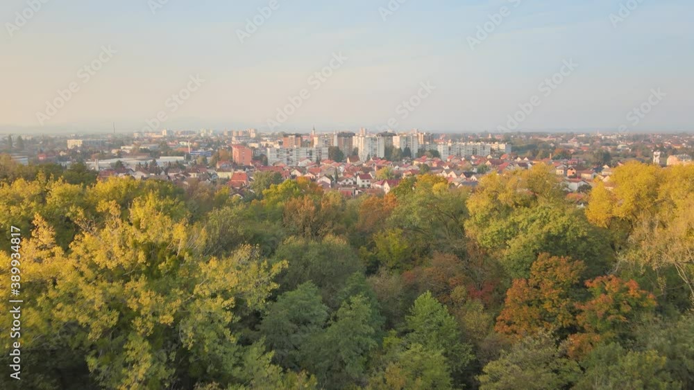 Beautiful autumnal forest colours, overlooking cityscape backdrop, aerial view Beautiful autumnal forest colours, overlooking cityscape backdrop, aerial view