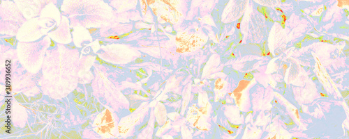 Blue Botanic Print. Orange Leaf Texture. Pink Silk Backdrop. White Cool Canva. Bright Fantasy Banner. Pastel Fresh Banner. Bright Abstract Texture.