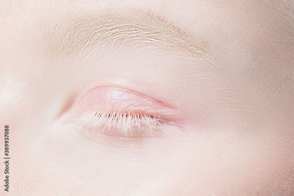 Obraz premium Brows and eyelid. Close up portrait of beautiful albino female model. Parts of face and body. Beauty, fashion, skincare, cosmetics, wellness concept. Copyspace. Well-kept skin, fresh look, details.