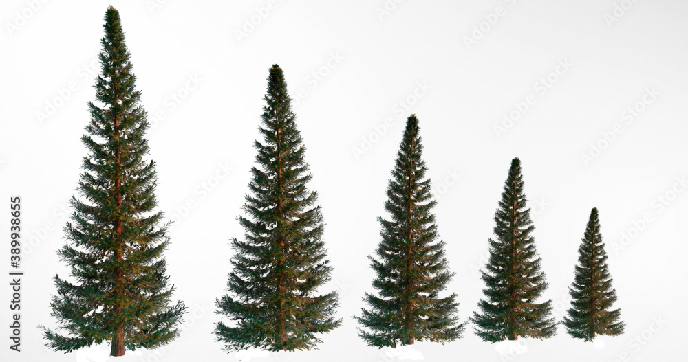 3D renderer. Fir tree in the snow, separate object on a white background.