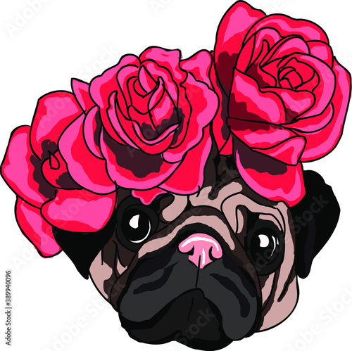 pug with flowers vector illustration. Beautiful wreath of roses. favorite pet. botons of colors. funny dog graphic sketch. Valentine's day greeting card