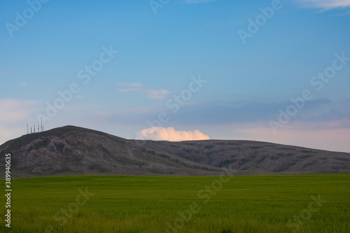 Green wheat field and mountains on the background. agricultural background photo. 