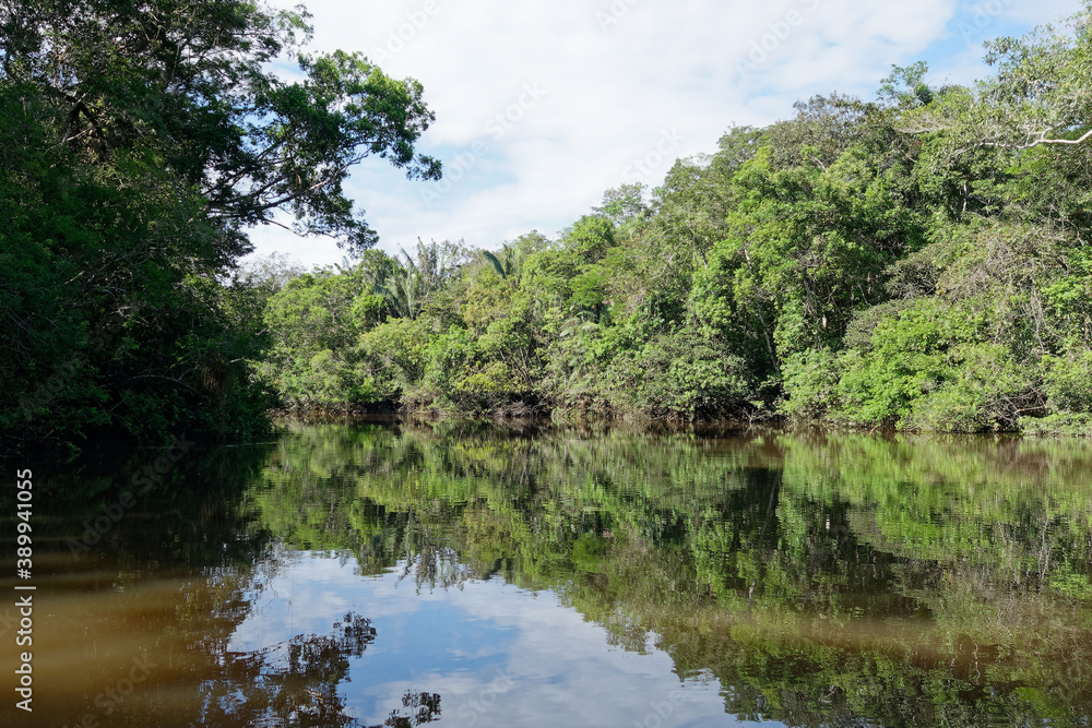 The Cuyabeno River in Cuyabeno Wildlife Reserve (Amazonia, Ecuador)