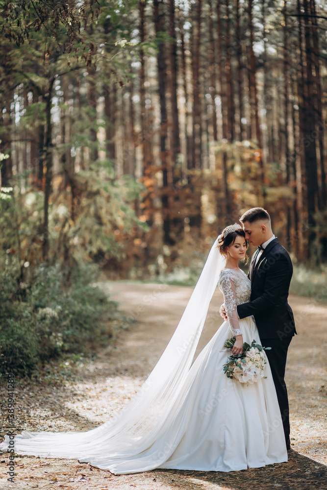 Walk of the bride and groom in the summer forest. Beautiful outdoor photo session. Walk of the bride and groom in the summer forest. Beautiful outdoor photo session.