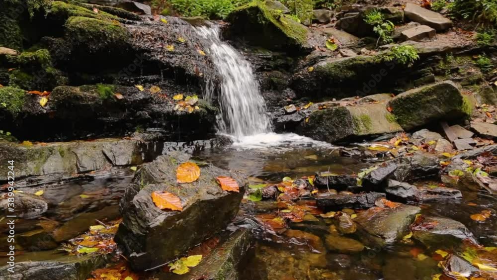 A stream and waterfall in the Carpathians among the autumn beech forest, large stones with green moss and fallen leaves of trees. Fallen autumn leaves in a mountain stream. concept of virgin nature. A stream and waterfall in the Carpathians among the autumn beech forest, large stones with green moss and fallen leaves of trees. Fallen autumn leaves in a mountain stream. concept of virgin nature.