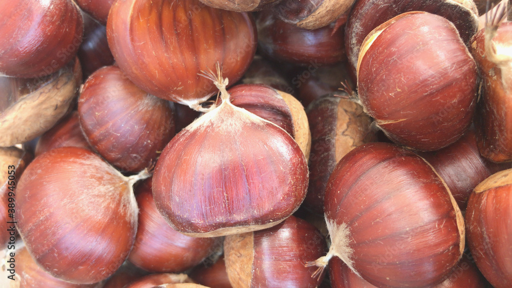 Freshly picked chestnuts from the forest