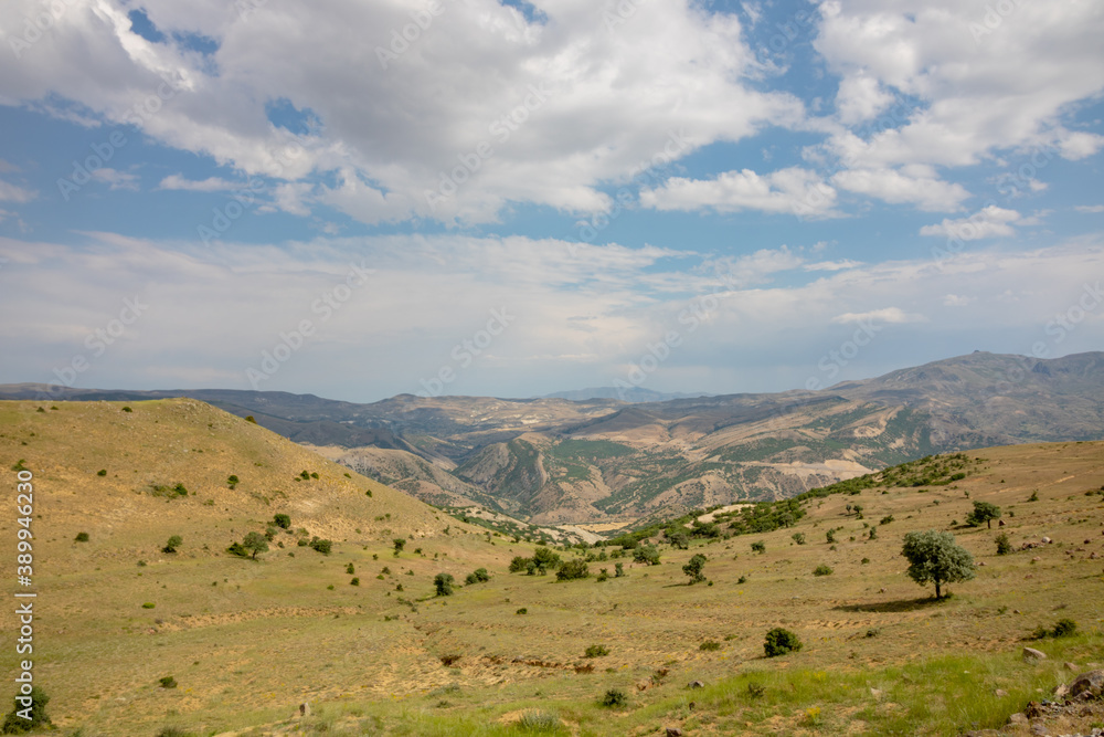Landscape of the hills with sparse trees on it from top of the hill. cloudy sky and mountains on the background.