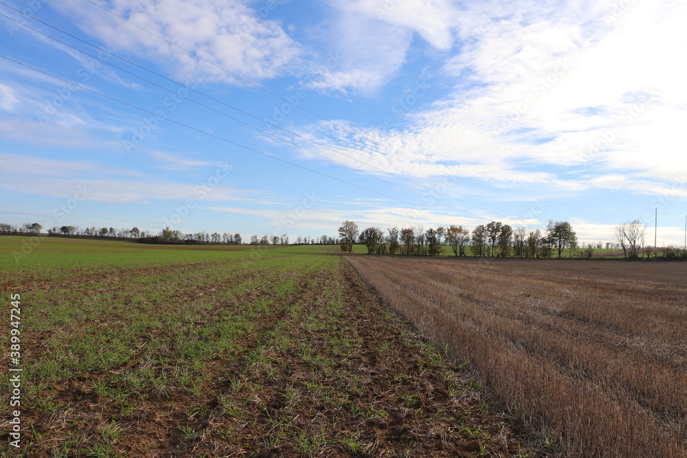 Les grandes terres, grande zone verte publique au milieu des champs, dans une zone agricole, ville de Corbas, département du Rhône, France