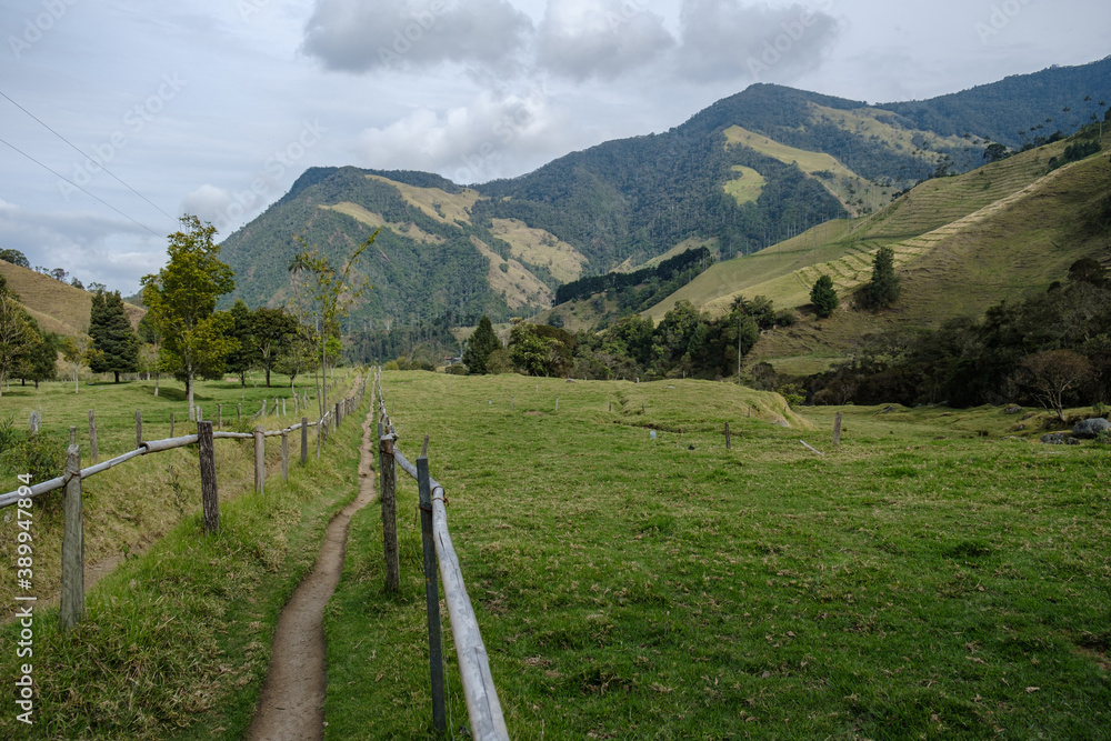 Weg in die Berge; Valle de Cocora; Kolumbien