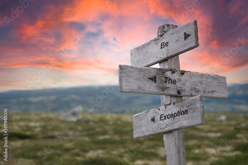 be the exception text engraved in wooden signpost outdoors in nature during sunset and pink skies. photo
