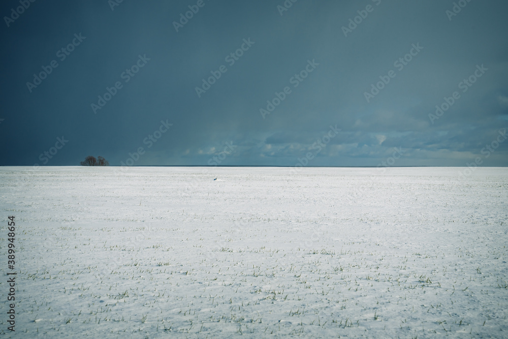 Obraz premium sea and sky