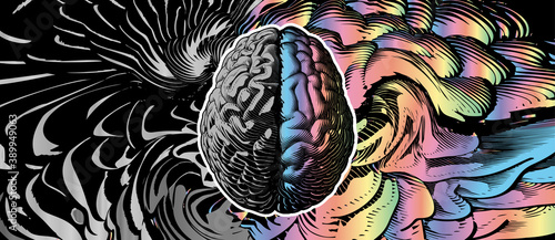Engraving brain illustration with left and right cerebral hemispheres concept