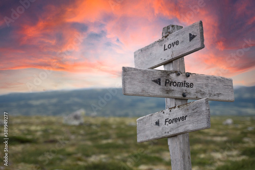 фотографія love promise forever text engraved in wooden signpost outdoors in nature during sunset and pink skies