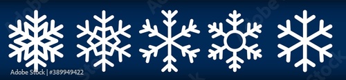 Snowflakes icons vector . Snowflakes template. Christmas icon logo snow. Flake crystal silhouette collection. Snow, holiday, cold weather, frost. Winter design elements . Vector illustration.