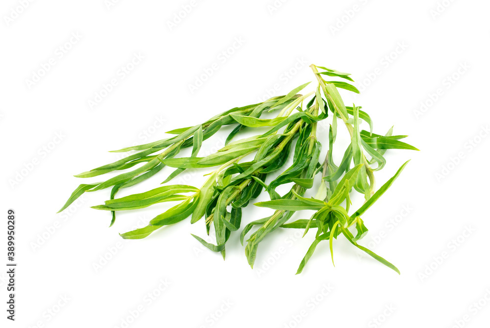 Obraz premium tarragon isolated on a white background