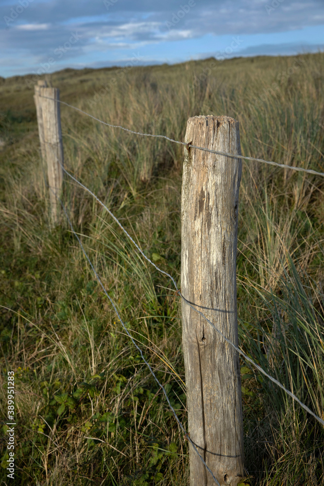 Dunes. Gate. Wire fence. North sea coast. Julianadorp. Netherlands. Dunes. Gate. Wire fence. North sea coast. Julianadorp. Netherlands.