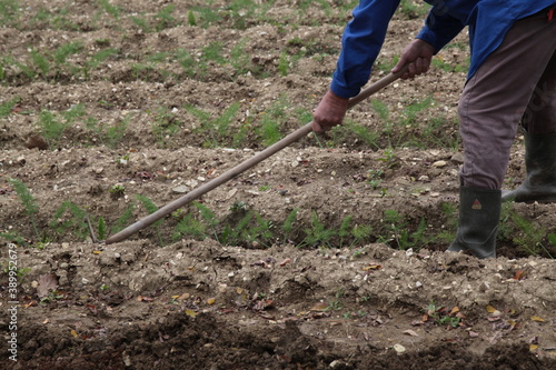 Mani che lavorano nel campo © Diego