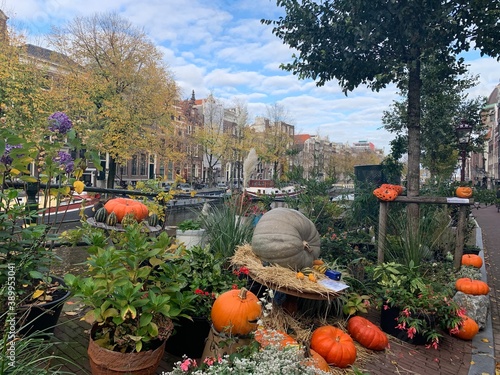 Photography Helloween pumpkin and squash decorations on the sidewalk next to the canal at Amsterdam city centre