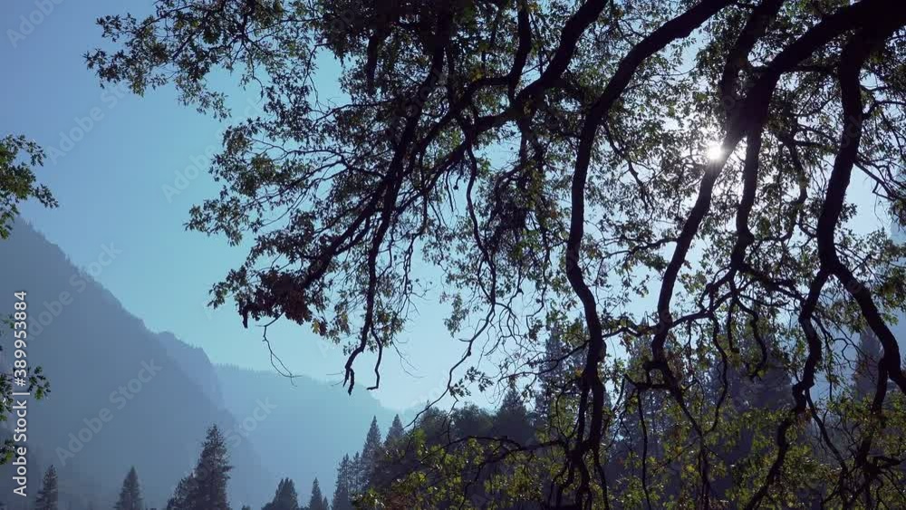 Three axis pan in Yosemite Valley, featuring a sunburst, a silhouette of trees and rock wall formations, Yosemite N.P. CA.