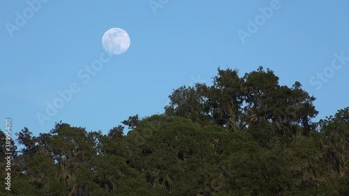 A full moon rises over a hillside in Central California in this beautiful nature shot. photo