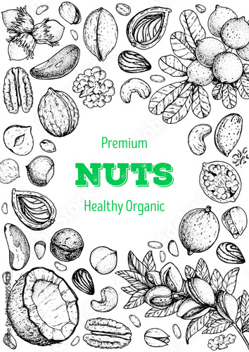 Nuts collection hand drawn sketch. Vector illustration. Organic healthy food. Great for packaging design. Engraved style. Black and white color