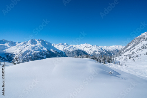 Winter in den Alpen © Netzer Johannes