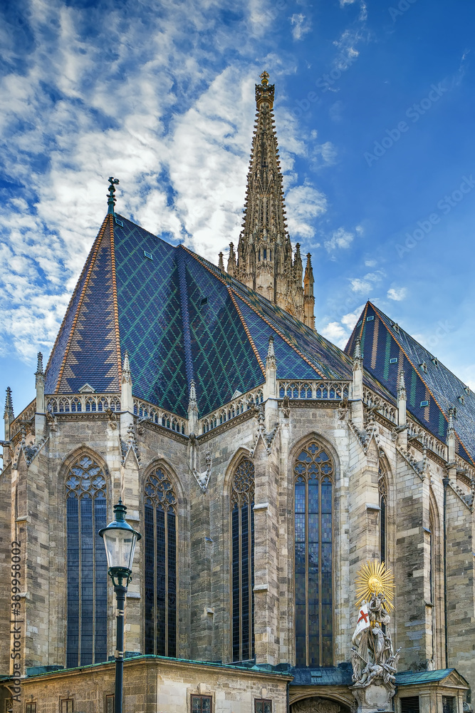 Obraz premium St. Stephen's Cathedral, Vienna
