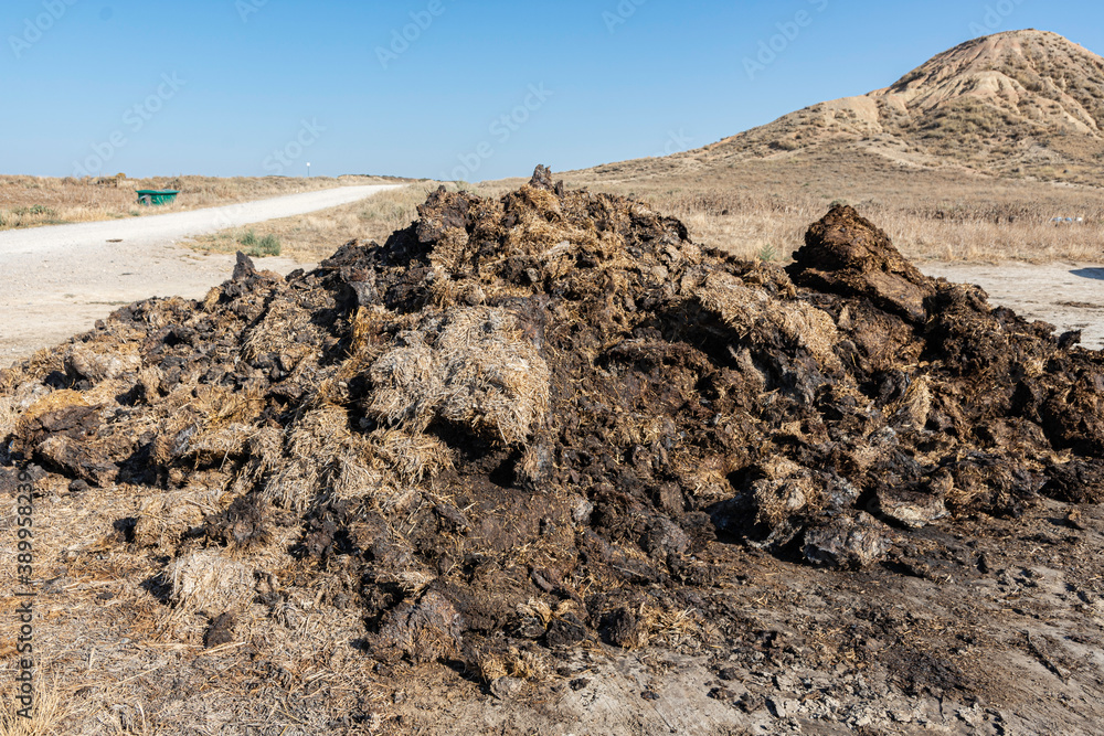 mountain of manure to fertilize the plants