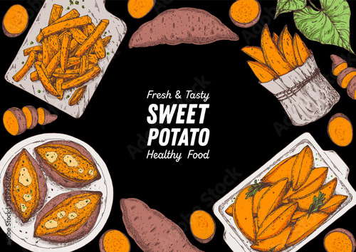 Sweet potato illustration. Batatas hand drawn vector illustration. Farm market food. Raw and cooked sweet potatoes hand drawn. Packaging design.