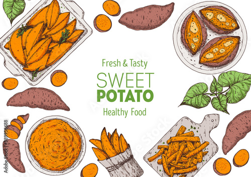 Sweet potato illustration. Batatas hand drawn vector illustration. Farm market food. Raw and cooked sweet potatoes hand drawn. Packaging design.