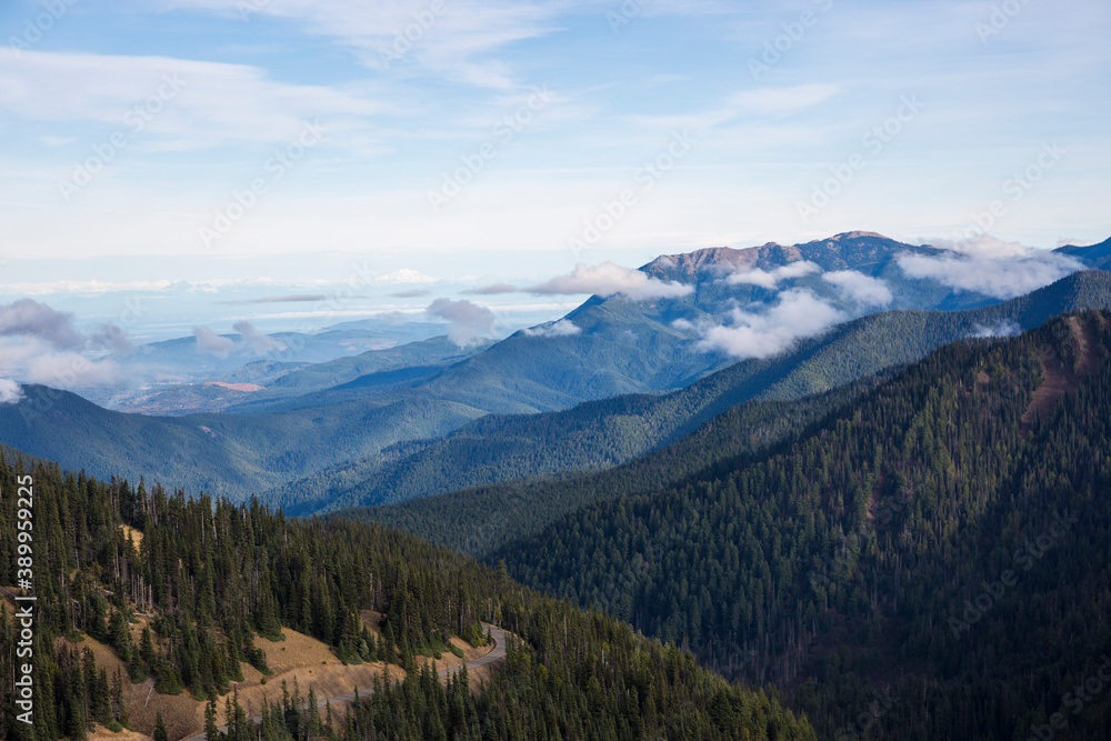 Beautiful landscape view of Hurricane Ridge during the day in Olympic National Park (Washington).