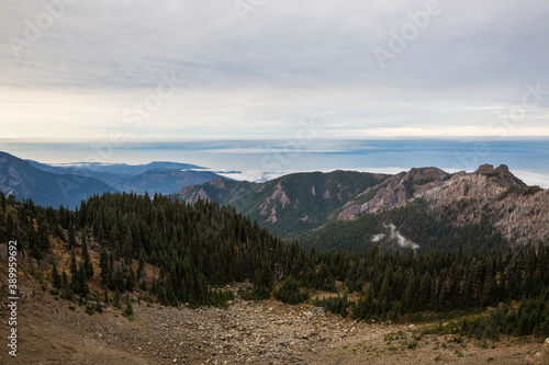 Beautiful landscape view of Hurricane Ridge during the day in Olympic National Park (Washington). © Patrick