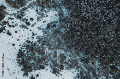 snowy forest from above © Fabian