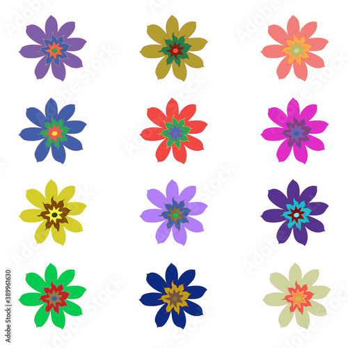 A set of flowers in different colors. Trendy colors. Blooming buds. On an isolated white background. This template can be used for design  pattern creation  site pages.