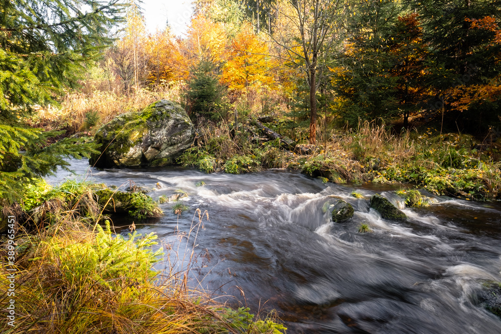 stream in the forest with colorful trees, bohemian forest, national nature park