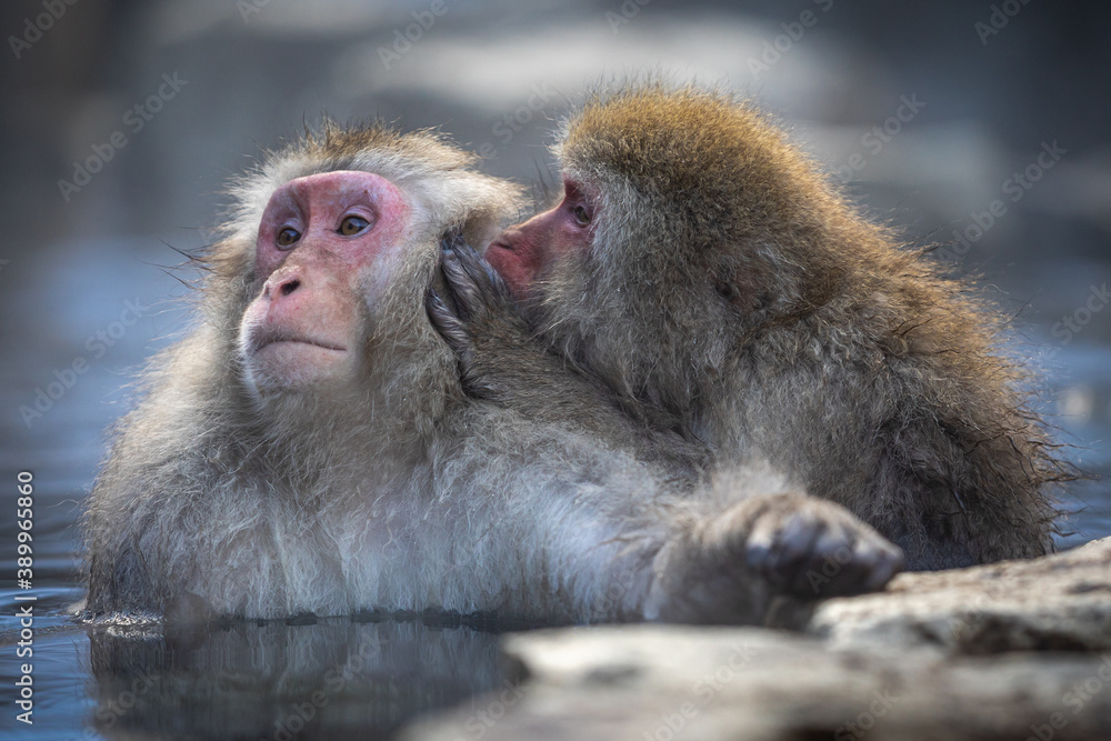 Fototapeta premium Can you keep a secret?