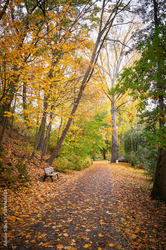 Obraz premium Park in Fürth, Germany during autumn season