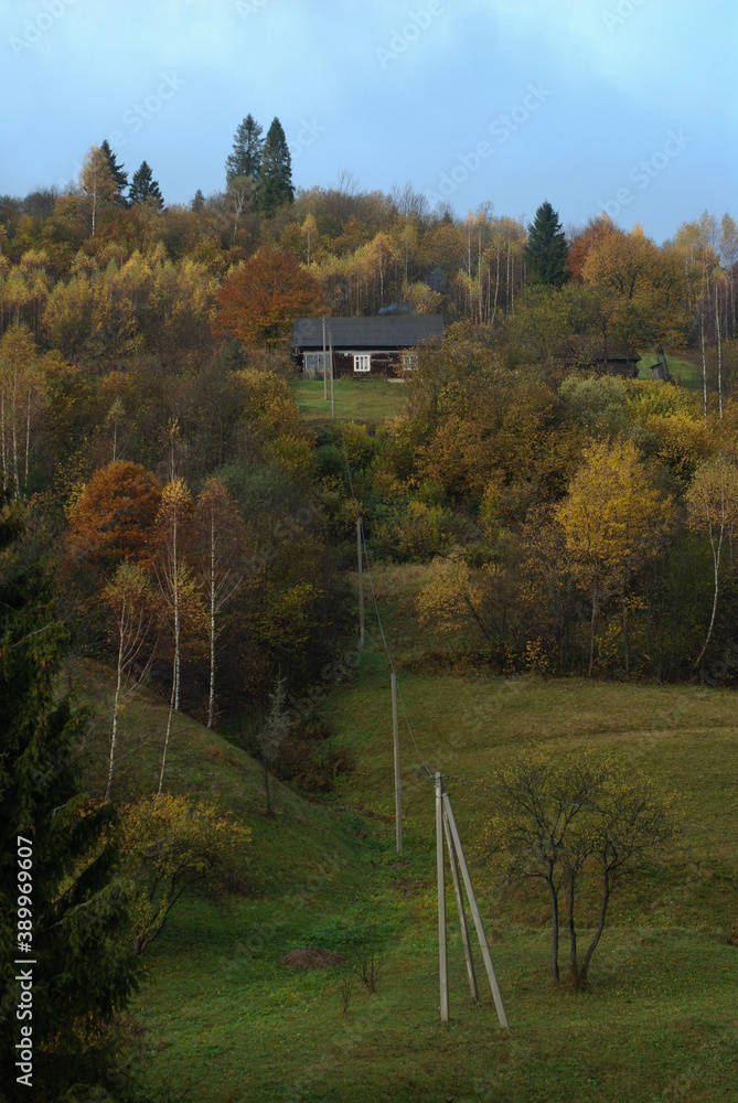 Obraz premium autumn in the mountains