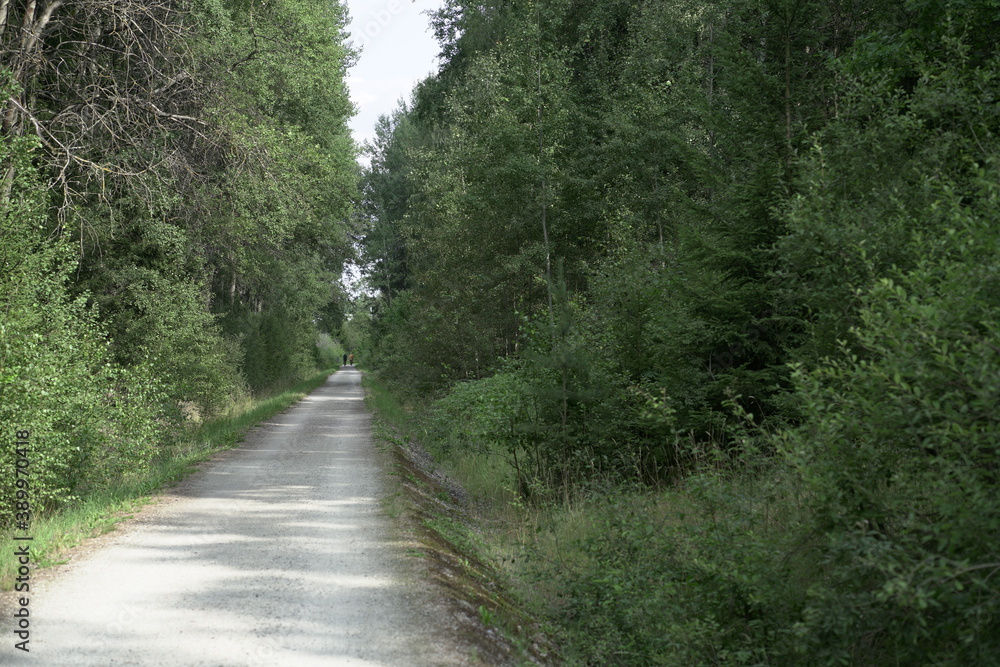 Feldweg Schoterweg Feldweg Schoterweg