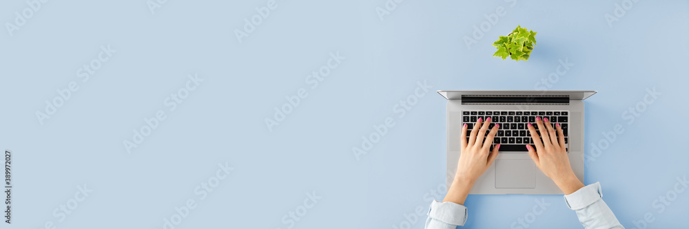 Overhead shot of female hands using laptop on blue table with flower. Office desktop. Banner Overhead shot of female hands using laptop on blue table with flower. Office desktop. Banner