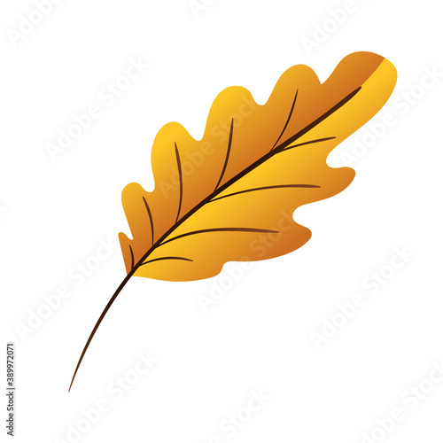 autumn leaf icon vector design