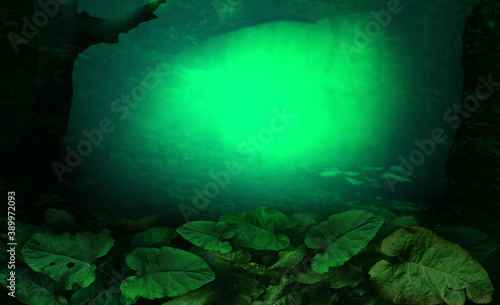 Fairy tale forest landscape with big burdock leaves on foreground and hazy blurry background with mysterious glow in the dark photo