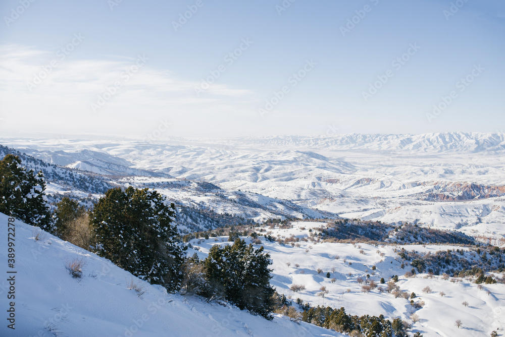 Winter mountain landscape. Snow-capped mountains covered with trees, against a blue sky. Uzbekistan, Tien Shan